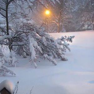 Meet your Posher, Pj